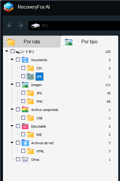 Filtrar Archivos por Tipo o Formato