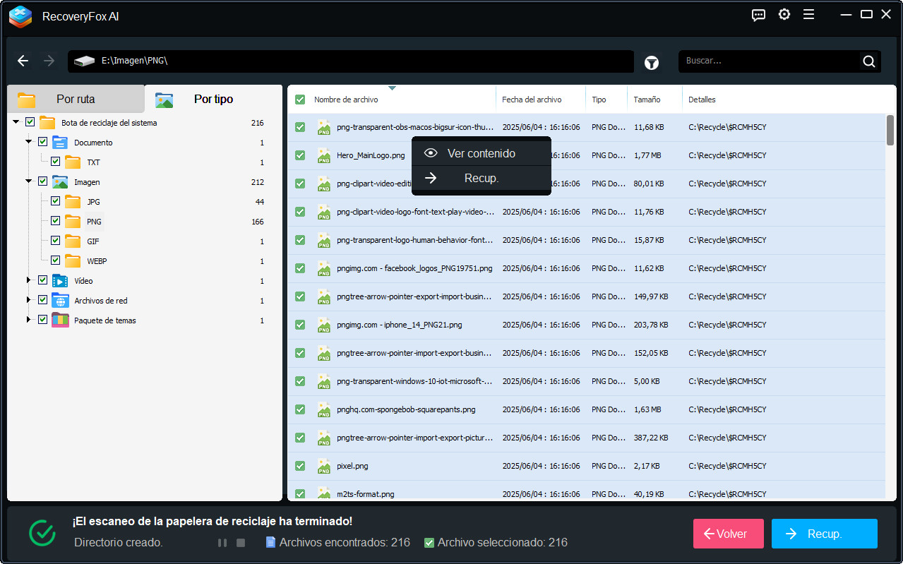 Vista previa y recuperación