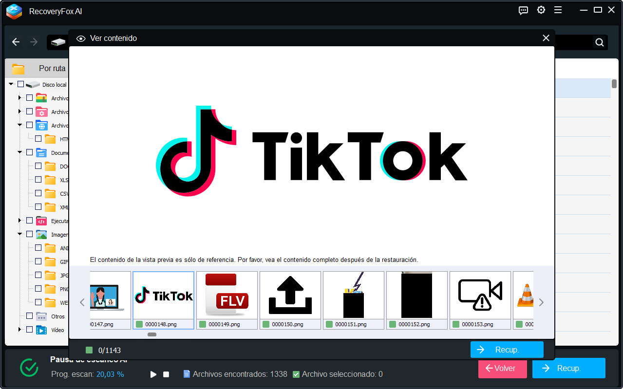 Previsualizar y Recuperar