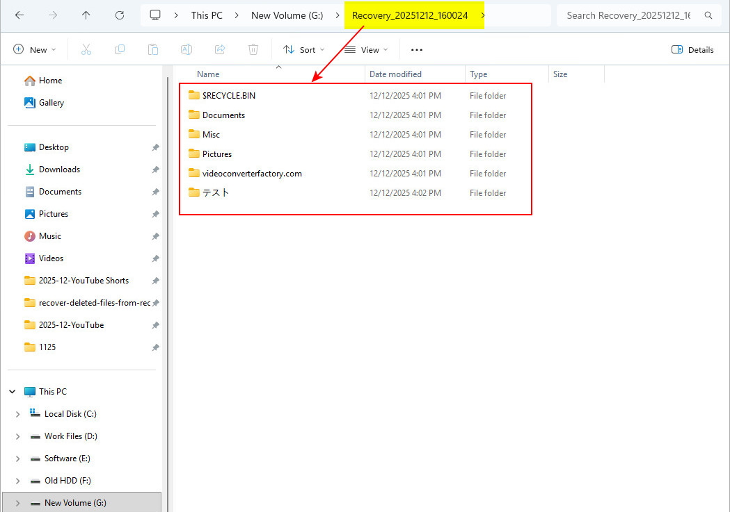 Todos los archivos perdidos recuperados